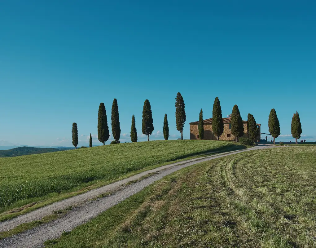 A cypress-lined road in Tuscany during a biking tour for teenagers.