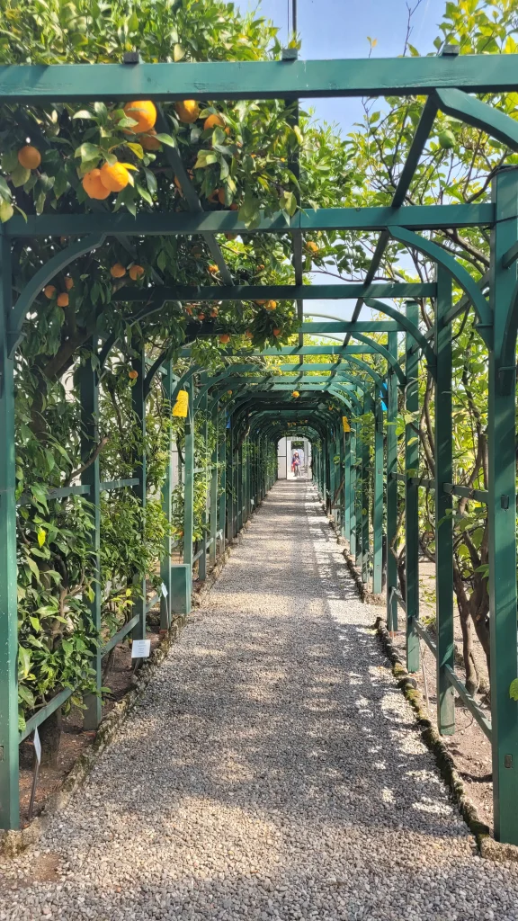 Planning a Lake Como trip, the terraced gardens and lemon pergola at Villa Carlotta
