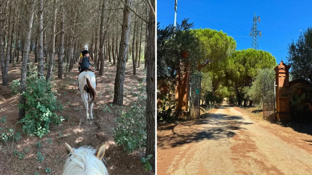 Child horse riding through a pine forest at a private Tuscany ranch on the Maremma coast, suitable for younger children under 14