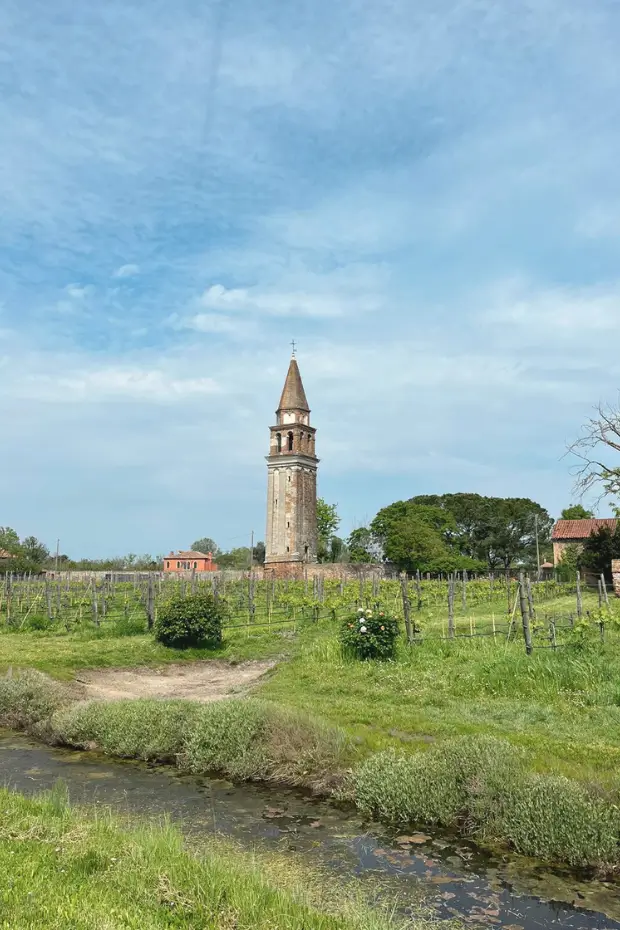 Private wine tasting experience on Mazzorbo Island near Venice, surrounded by vineyards and lagoon views