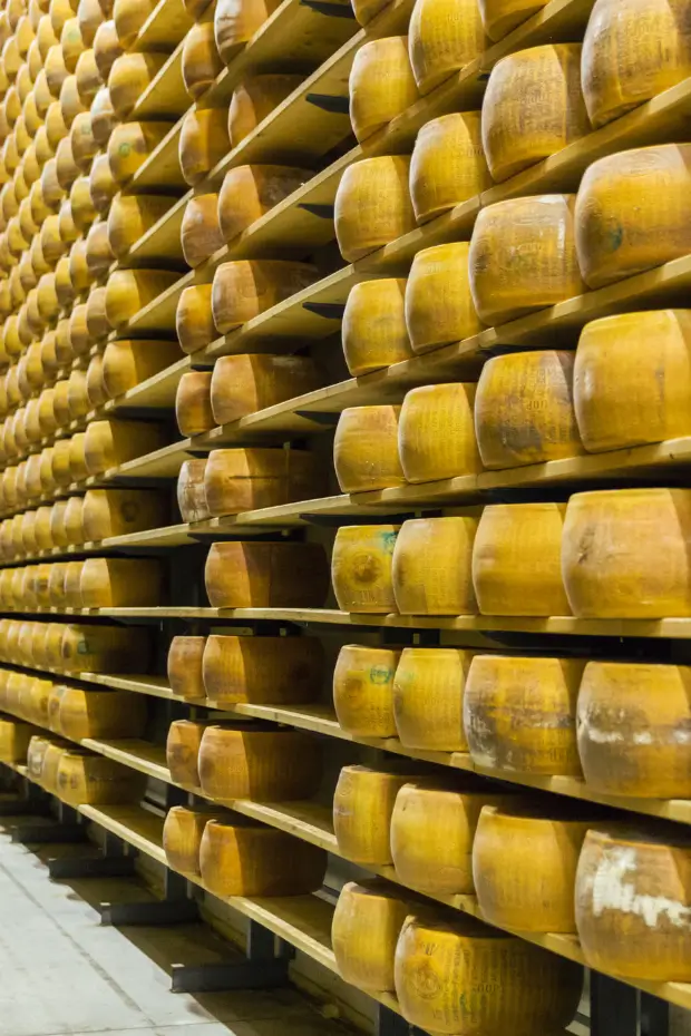 Parmigiano Reggiano cheese wheels ageing in Parma Food Valley, private tasting