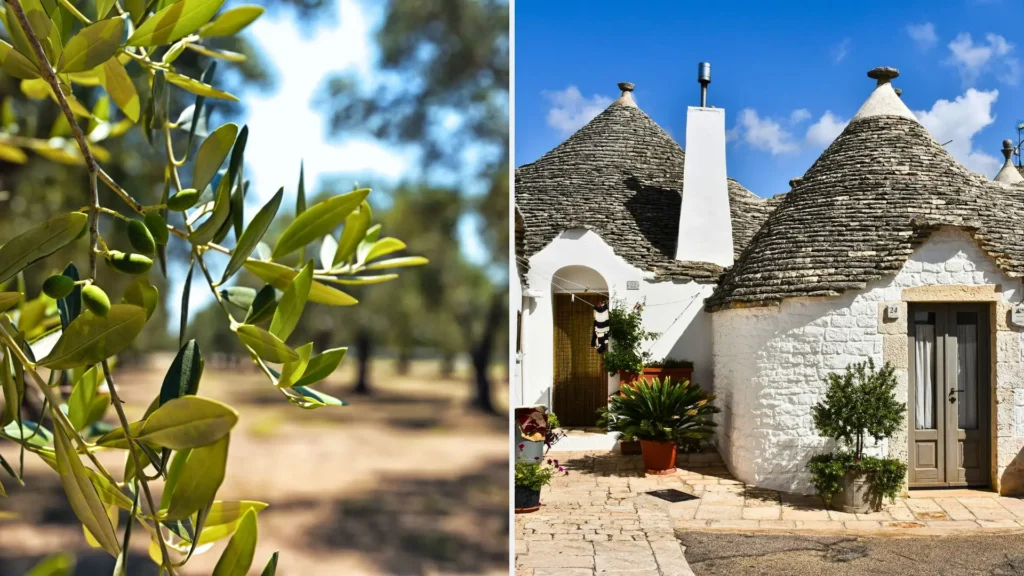 Luxury vacation in Puglia with olive oil tasting and a private visit to Alberobello.