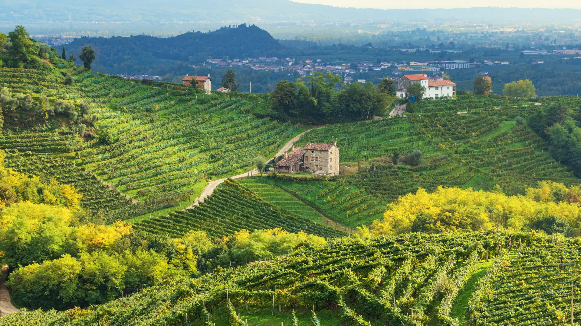 Explore authentic Italy Experience in Veneto Prosecco hills luxury holiday by Design Your Italy