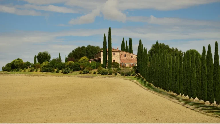 Tuscany home base at a luxury Chianti villa with iconic cypress trees; a curated by Design Your Italy, a setting for a family connection retreat, digital family detox, and authentic countryside immersion.